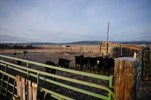 View of yard featuring a view of rural / pastoral area and a mountain view