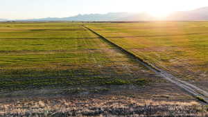 View of rural area featuring a mountain backdrop and rows of crops