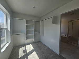 Walk in closet with light carpet