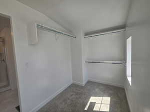 Walk in closet featuring lofted ceiling and light carpet