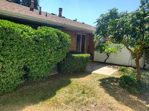 View of green lawn