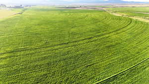 Overview of rural landscape