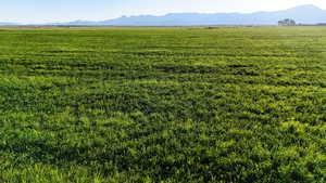Overview of rural landscape featuring a mountain backdrop