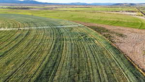 Aerial view of sparsely populated area featuring a mountain backdrop