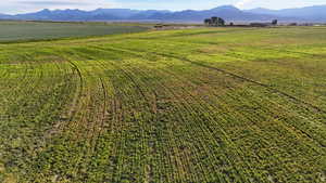 Aerial view of sparsely populated area featuring a mountainous background