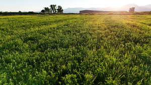 View of yard with a mountain view and a view of countryside