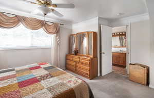 Primary bedroom with light colored carpet, featuring ornamental molding, ceiling fan, tray ceiling and connected bathroom