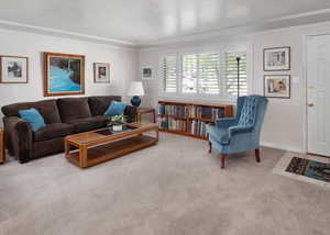 Carpeted living area featuring ornamental molding and baseboards