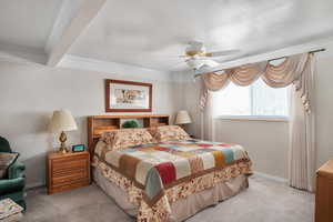 Primary bedroom with crown molding, carpet, ceiling fan, and tray ceiling