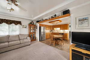 Family room area featuring ornamental molding, a ceiling fan, light carpet, and a tray ceiling