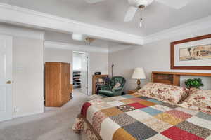 Primary bedroom with light colored carpet, ornamental molding, tray ceiling, and ceiling fan