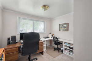 Home office or bedroom featuring crown molding and light colored carpet