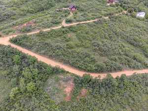 Aerial view of property and surrounding area featuring a forest