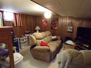 Carpeted living area with wooden walls