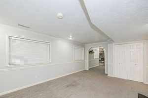 Basement with carpet floors, a textured ceiling, and crown molding