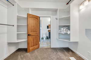 Walk in closet featuring light carpet