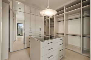 Spacious closet with light colored carpet