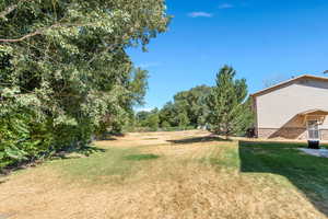 View of grassy yard