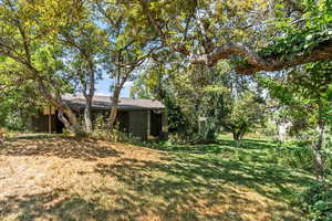 View of grassy yard