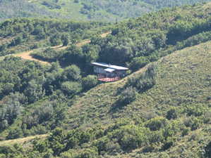 Aerial view of property's location featuring a forest