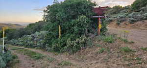 View of gate at dusk