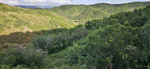 View of mountain background