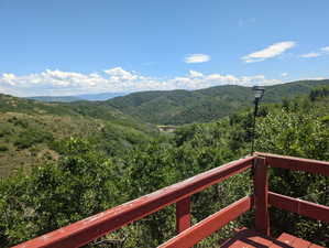 View of mountain backdrop with a heavily wooded area