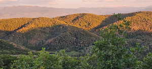 View of mountain background featuring a heavily wooded area