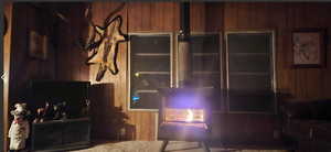 Living room with wooden walls