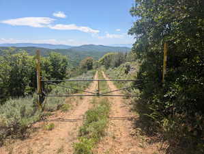 View of mountain backdrop with a forest