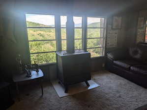 Carpeted living room featuring wood walls and a wood stove