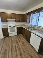Kitchen with white appliances, dark brown cabinetry, dark wood finished floors, and under cabinet range hood