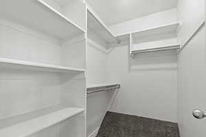 Spacious closet featuring dark colored carpet