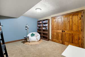 Living area with a textured ceiling and carpet flooring