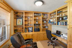 Office space with light colored carpet and a textured ceiling