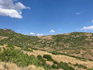 View of mountain background