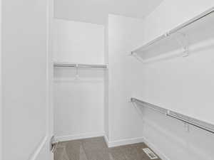 Spacious closet featuring light colored carpet