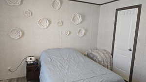 Primary Bedroom Closet Door