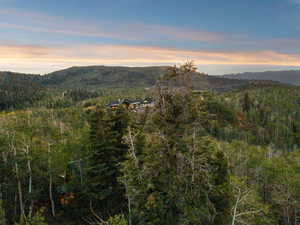 View of mountain background featuring a forest