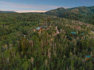 Aerial view at dusk of a mountain view and a forest view