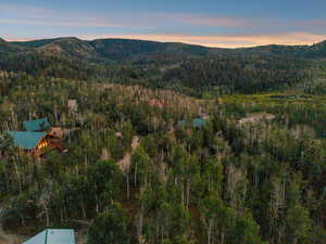 View of mountain backdrop featuring a heavily wooded area
