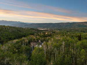 View of mountain background with a heavily wooded area