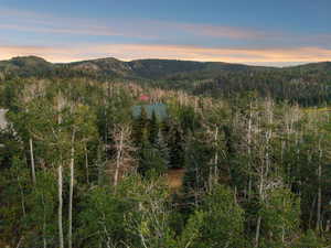 View of mountain background featuring a heavily wooded area