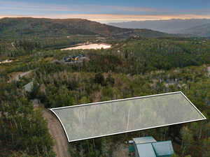 Aerial view of property's location with a forest and property boundaries highlighted