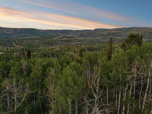 View of mountain backdrop featuring a forest