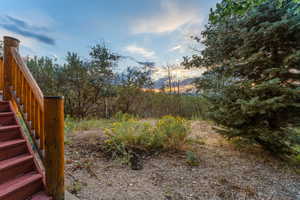 Yard at dusk with stairway