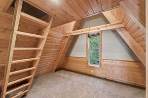 Additional living space featuring wood walls, wooden ceiling, carpet floors, wainscoting, and vaulted ceiling
