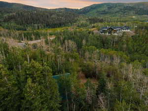 Aerial view at dusk of a forest view and a mountain view