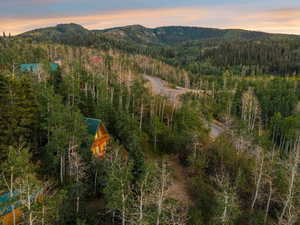 Aerial view at dusk of a mountain view and a forest view