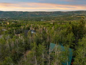 Aerial view at dusk of a mountain view and a forest view